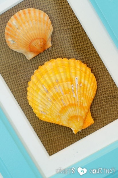 Seashell Picture Frame Art: Add Your Shells to the Frames