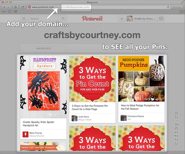 Use Pinterest.com to SEE your site's Pins.