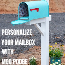 Coastal DIY Mailbox Makeover