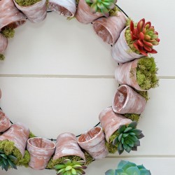 DIY Succulent Wreath with Terracotta Pots