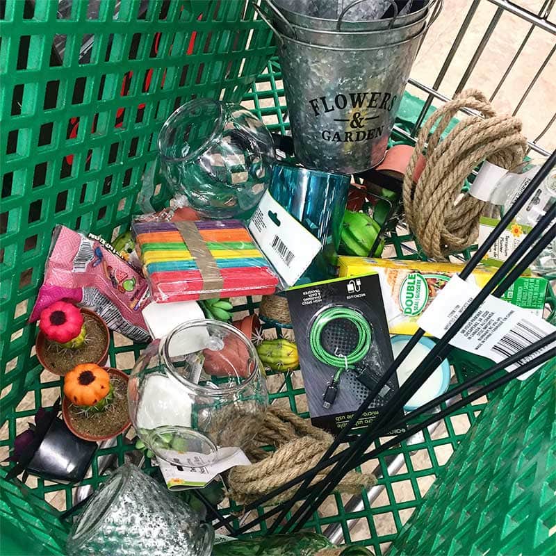 The Best Dollar Tree Finds for Spring