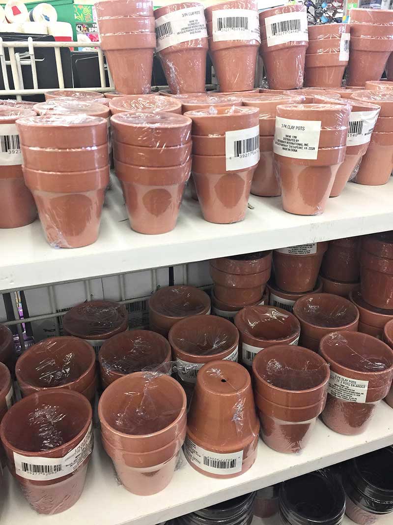 The Best Dollar Tree Finds for Spring - Clay Pots