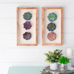 Succulent Wall Art