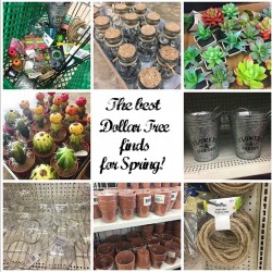 The Best Dollar Tree Finds for Spring
