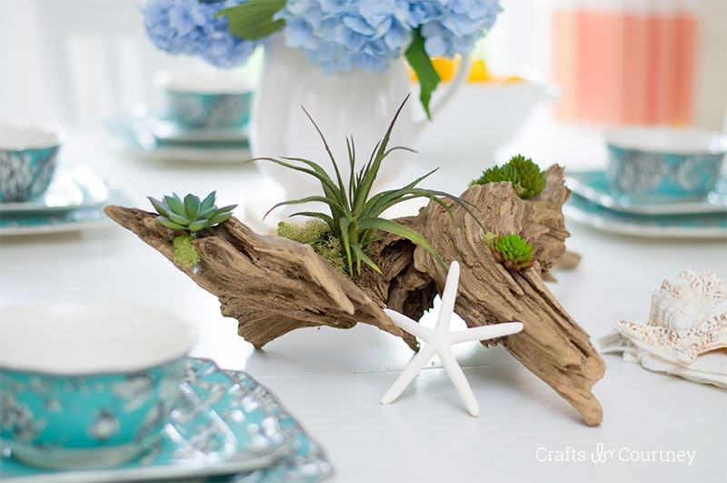 Create a simple Driftwood Planter for a coastal table setting