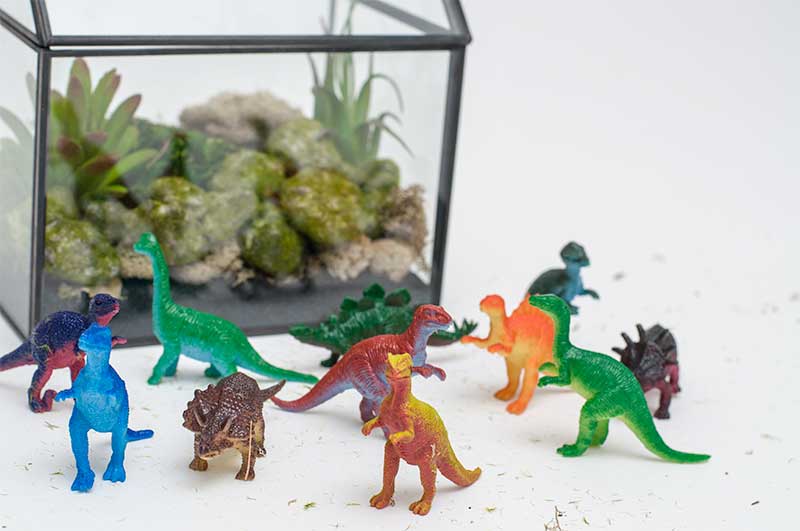 Create a Dinosaur Terrarium with your kids