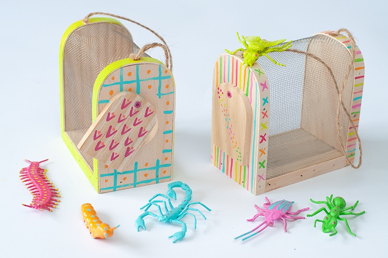 Colorful Wooden Bug Box Craft for kids