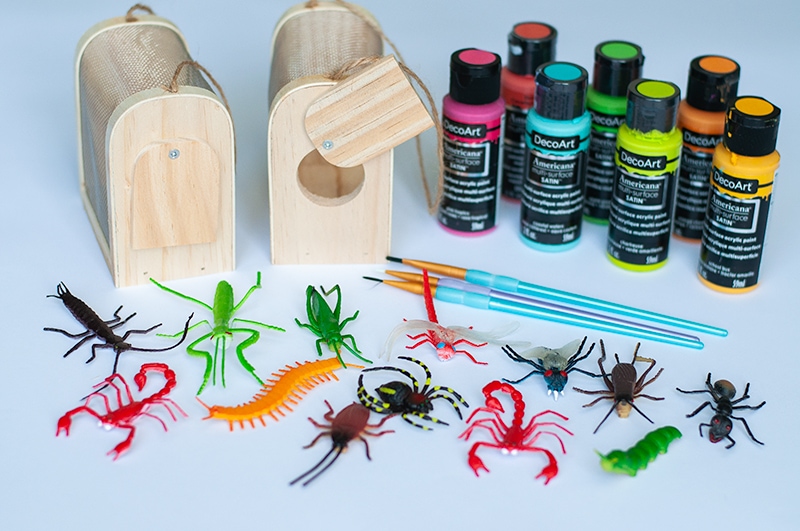 Colorful Wooden Bug Box Craft