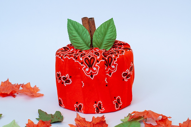 How to make a Toilet Paper Roll Pumpkin Craft for kids