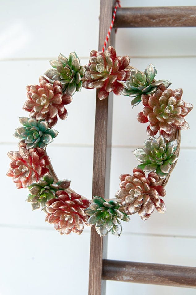 15+ Easy DIY Wreath Ideas - Succulent Wreath